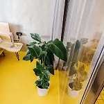 Silesia Loft Ostrava