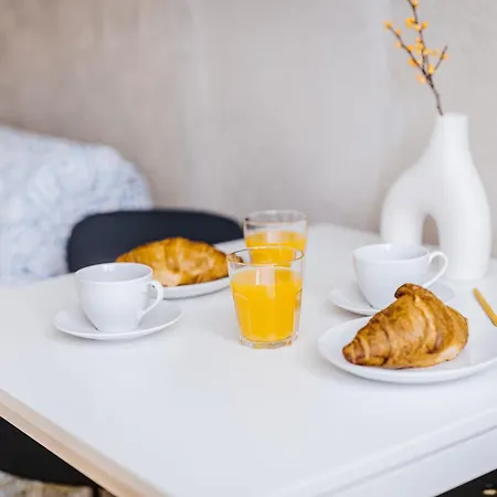 Silesia Loft Apartmán *